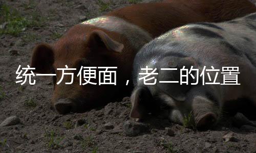 統(tǒng)一方便面，老二的位置岌岌可危