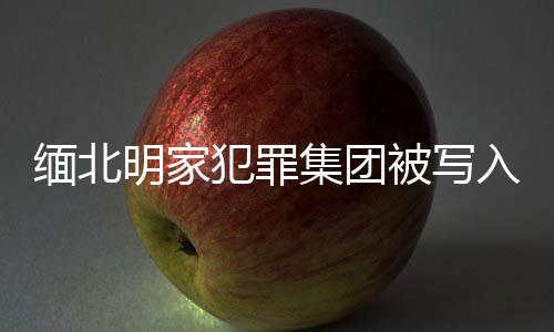 緬北明家犯罪集團被寫入最高檢報告，揭示犯罪勢力新動態(tài)及嚴厲打擊決心