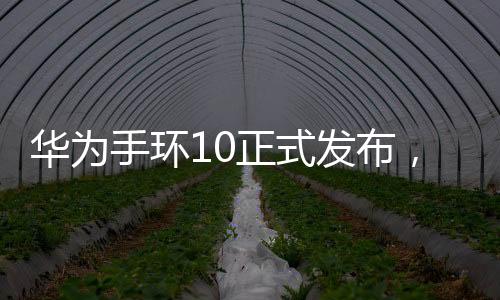 華為手環(huán)10正式發(fā)布，引領(lǐng)智能穿戴設(shè)備新潮流