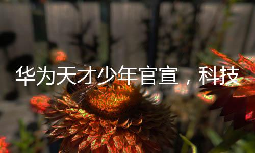 華為天才少年官宣，科技新星閃耀未來