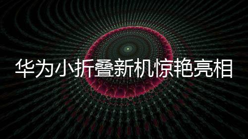 華為小折疊新機(jī)驚艷亮相，暫定三月推出，一睹科技與時(shí)尚的融合之美