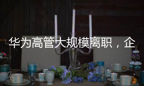 華為高管大規(guī)模離職，企業(yè)內(nèi)部調(diào)整引發(fā)關(guān)注