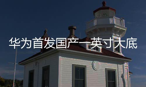 華為首發(fā)國產(chǎn)一英寸大底，引領(lǐng)智能手機(jī)攝影新篇章