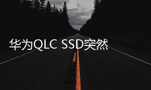 華為QLC SSD突然進軍韓國：1TB 235元便宜到爆！