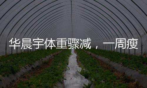 華晨宇體重驟減，一周瘦9斤引熱議，數(shù)字背后的故事與挑戰(zhàn)