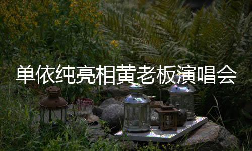 單依純亮相黃老板演唱會(huì)，璀璨之夜，音樂力量展現(xiàn)無疑