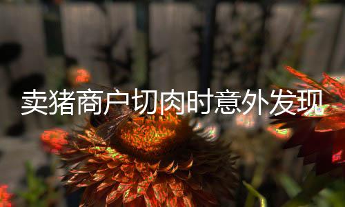 賣豬商戶切肉時意外發(fā)現(xiàn)豬被打針——行業(yè)內(nèi)的隱秘與公眾的關(guān)注