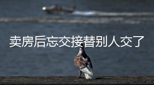 賣房后忘交接替別人交了十三年電費，一則關(guān)于疏忽與糾正的真實故事