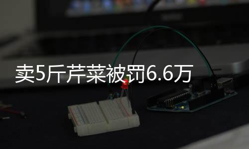 賣5斤芹菜被罰6.6萬？代表委員建言市場(chǎng)監(jiān)管新模式