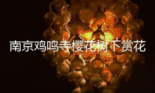 南京雞鳴寺櫻花樹下賞花人多如云，游客紛紛駐足留影