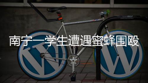 南寧一學(xué)生遭遇蜜蜂圍毆倒地事件引發(fā)關(guān)注