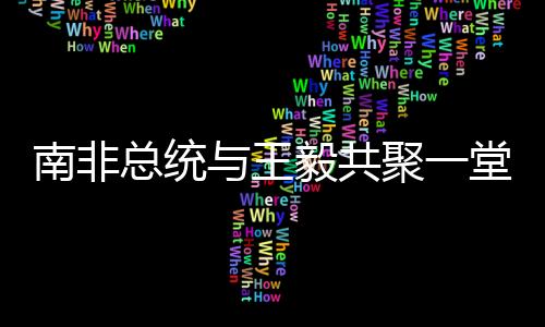 南非總統(tǒng)與王毅共聚一堂，國(guó)花照片下的友好見(jiàn)證