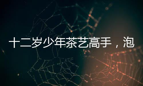 十二歲少年茶藝高手，泡功夫茶展現(xiàn)行云流水之美