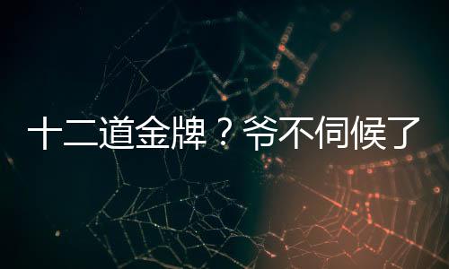 十二道金牌？爺不伺候了！