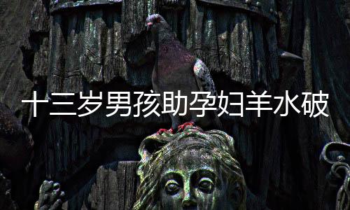 十三歲男孩助孕婦羊水破裂順利產(chǎn)子，生命奇跡溫暖人心