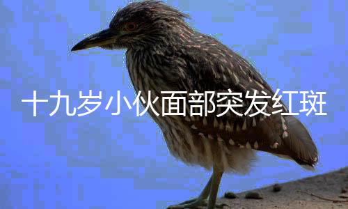 十九歲小伙面部突發(fā)紅斑狼瘡，醫(yī)生揭示背后真相