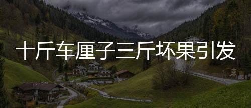 十斤車?yán)遄尤飰墓l(fā)爭(zhēng)議，山姆超市回應(yīng)質(zhì)量問題