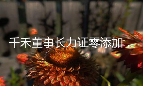 千禾董事長力證零添加，高管喊冤背后的真相揭秘