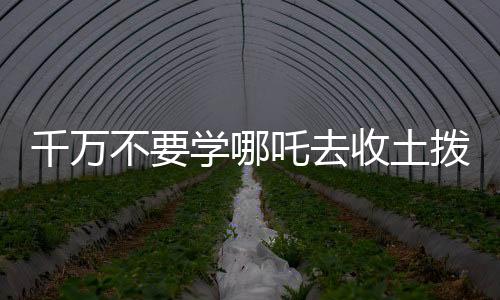 千萬(wàn)不要學(xué)哪吒去收土撥鼠，一則關(guān)于冒險(xiǎn)與后果的警示