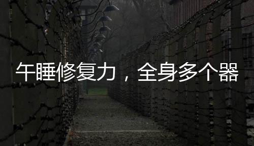 午睡修復(fù)力，全身多個器官在短暫的睡眠中得到恢復(fù)與再生