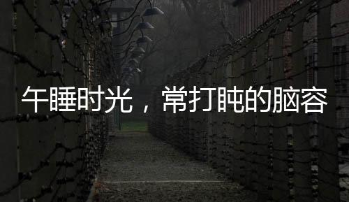 午睡時(shí)光，常打盹的腦容量真相大解密