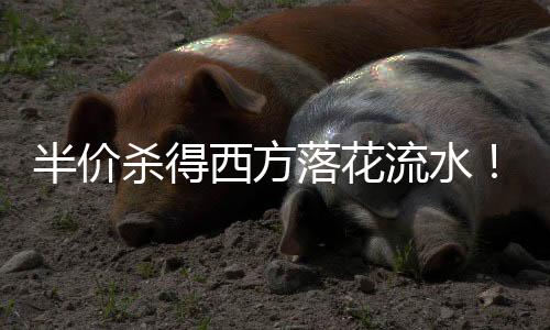 半價(jià)殺得西方落花流水！國(guó)產(chǎn)DDR4內(nèi)存又要漲回來(lái)