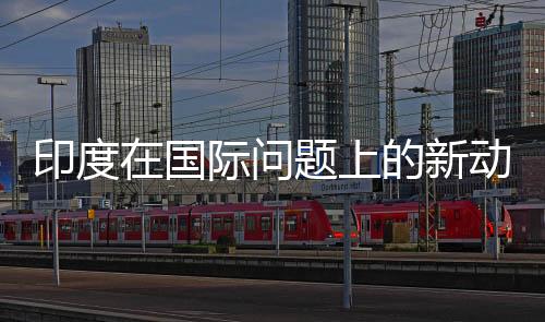 印度在國際問題上的新動向，是否真的有所轉(zhuǎn)向？