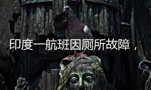 印度一航班因廁所故障，僅留一個可用卻遭遇11個堵塞被迫返航