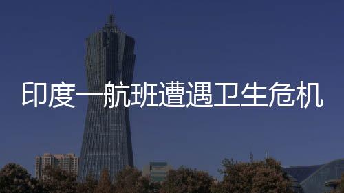 印度一航班遭遇衛(wèi)生危機，12個廁所堵塞11個被迫返航