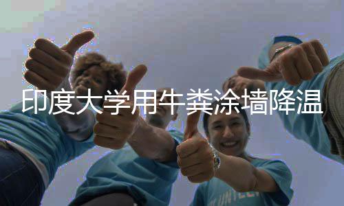 印度大學用牛糞涂墻降溫 校長力挺：這是科學！