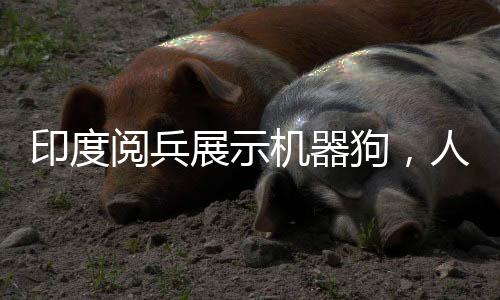 印度閱兵展示機(jī)器狗，人手一個(gè)遙控器引領(lǐng)科技潮流