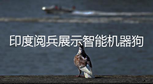 印度閱兵展示智能機(jī)器狗，人手一個(gè)遙控器，科技力量矚目顯現(xiàn)