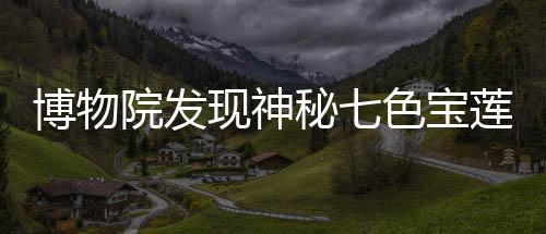 博物院發(fā)現(xiàn)神秘七色寶蓮，揭示千年文化寶藏的奇跡之旅