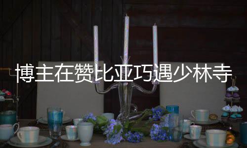 博主在贊比亞巧遇少林寺——跨文化交流見(jiàn)證武術(shù)魅力