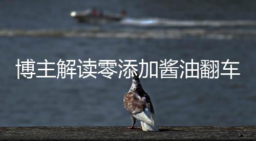博主解讀零添加醬油翻車事件，背后的真相與消費(fèi)者關(guān)注焦點(diǎn)