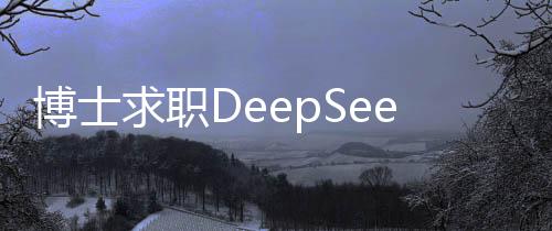 博士求職DeepSeek面試經(jīng)歷，面試官連問3小時，深度探討專業(yè)領(lǐng)域