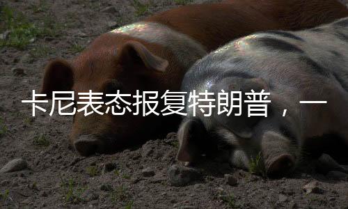 卡尼表態(tài)報復(fù)特朗普，一場政治風(fēng)暴的掀起
