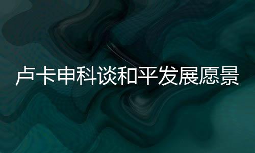 盧卡申科談和平發(fā)展愿景，中國追求的不僅僅是繁榮，更是和平與穩(wěn)定的全球環(huán)境