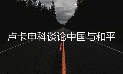 盧卡申科談論中國與和平前景，對戰(zhàn)爭的反對和對合作的美好憧憬