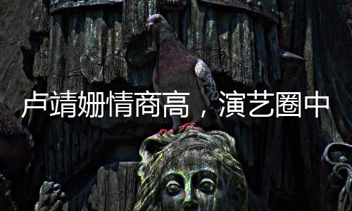 盧靖姍情商高，演藝圈中的佼佼者
