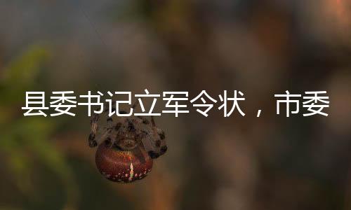 縣委書記立軍令狀，市委書記全市播放，一線領(lǐng)導(dǎo)力與決心的展現(xiàn)