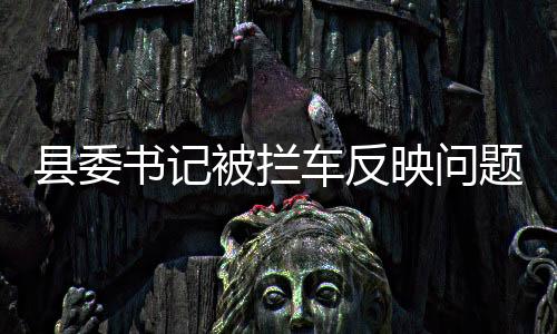 縣委書記被攔車反映問題？當?shù)鼗貞?yīng)