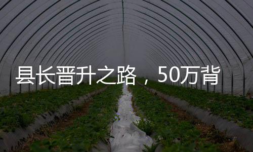 縣長(zhǎng)晉升之路，50萬(wàn)背后的故事，一個(gè)月實(shí)現(xiàn)從縣長(zhǎng)到縣委書(shū)記的跨越