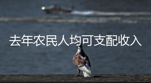 去年農(nóng)民人均可支配收入達23119元，鄉(xiāng)村振興的十大亮點
