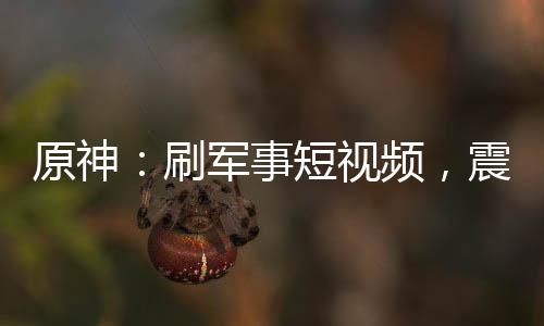 原神：刷軍事短視頻，震驚提瓦特
