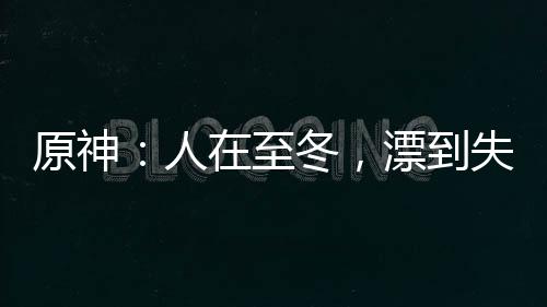 原神：人在至冬，漂到失聯！