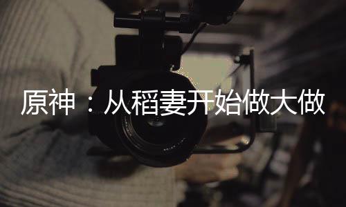 原神：從稻妻開始做大做強(qiáng)！