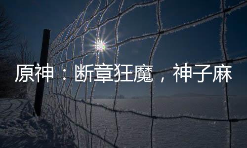 原神：斷章狂魔，神子麻了