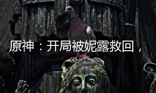 原神：開局被妮露救回，天賦投影