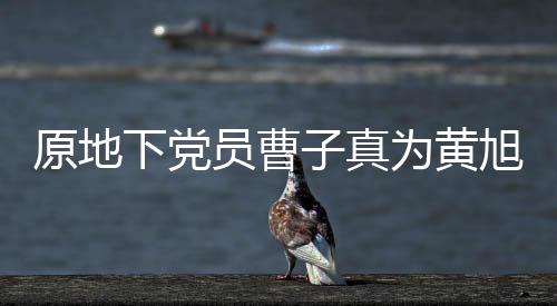 原地下黨員曹子真為黃旭華送上深情挽聯(lián)——一段關(guān)于信念與奉獻的傳奇故事